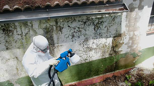 Trusted Mold Testing service in Gibbsboro, NJ - Cheap Mold Removal